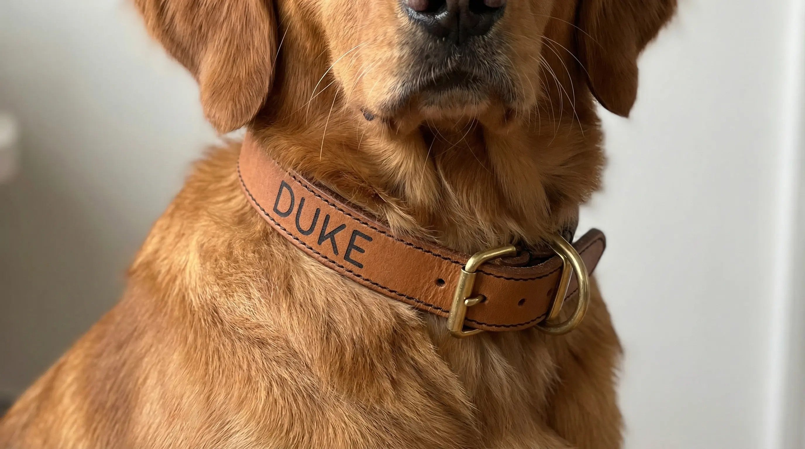 Personalisiertes Leder-Hundehalsband | Handgefertigt & Wetterfest | Echtes Leder | geröstetes Hellbraun