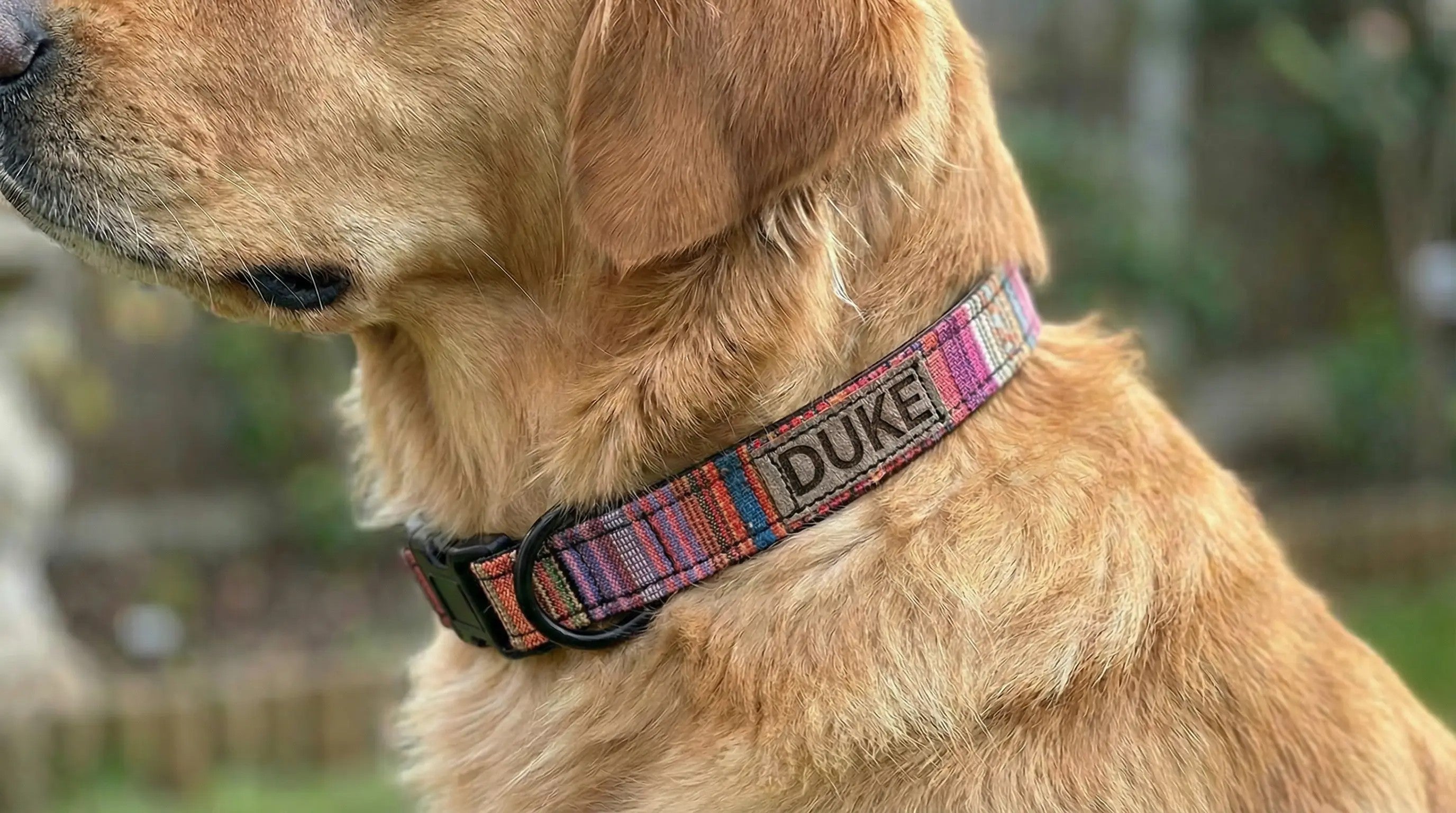 Personalisiertes Ethno-Hundehalsband | Handgefertigt & Wetterfest | im Boho Style | 25 mm