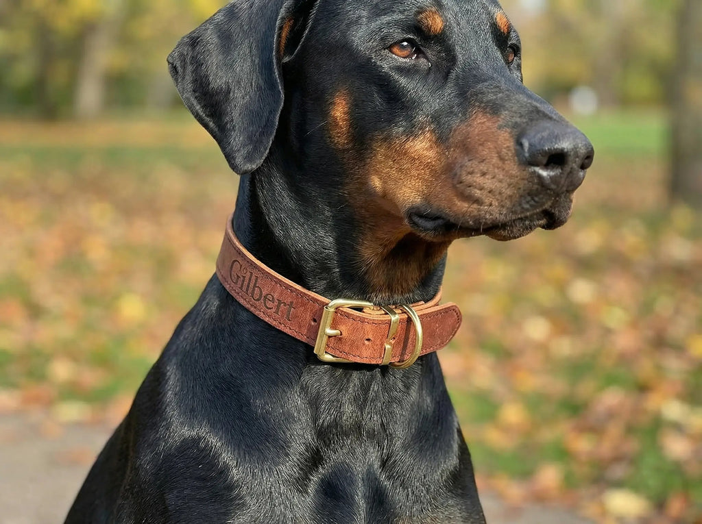 Personalisiertes Leder-Hundehalsband | Handgefertigt & Wetterfest | Echtes Leder | Weinrot