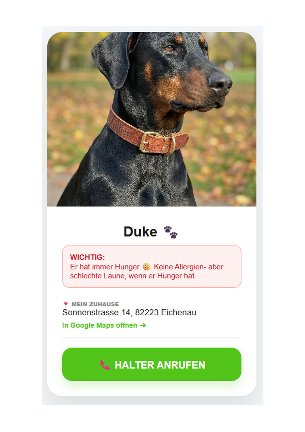 Smarte Tier-ID: Handgefertigte Leder-Notfallmarke mit QR-Profil