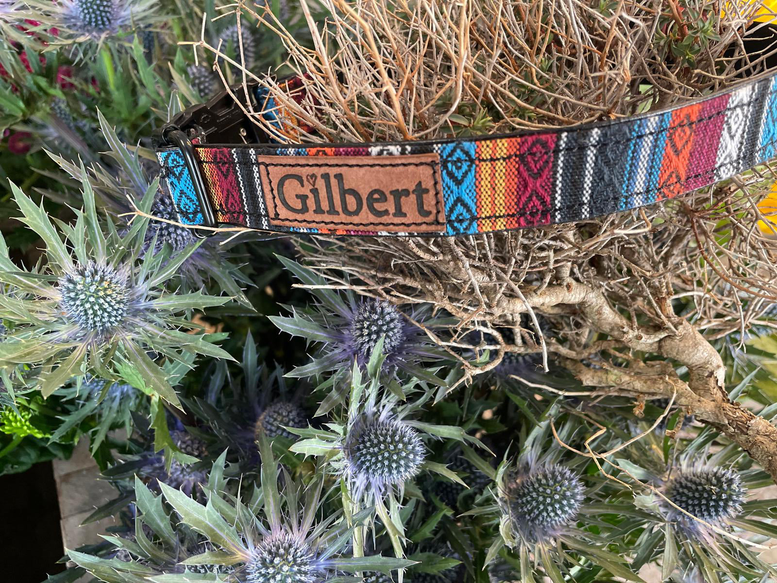 Personalisiertes Ethno-Hundehalsband | Handgefertigt & Wetterfest | im Boho Style