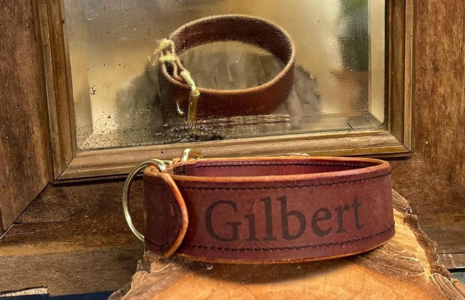 Personalisiertes Leder-Hundehalsband | Handgefertigt & Wetterfest | Echtes Leder | Weinrot